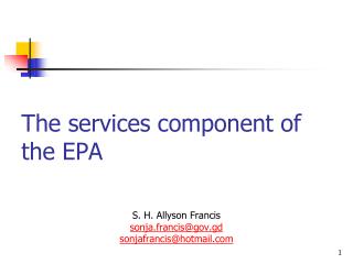 The services component of the EPA