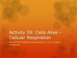 Activity 39: Cells Alive – Cellular Respiration