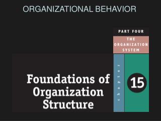 ORGANIZATIONAL BEHAVIOR