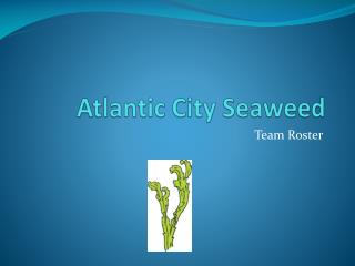 Atlantic City Seaweed