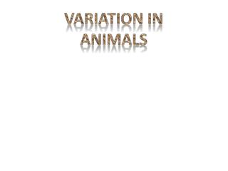Variation in animals