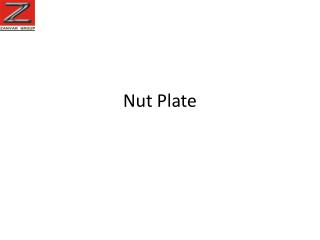 Nut Plate