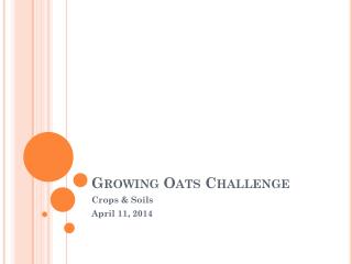 Growing Oats Challenge