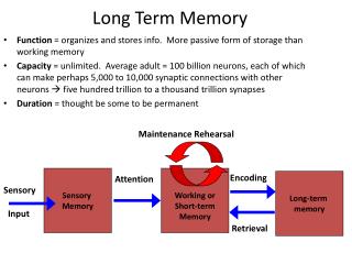 PPT - Your Brain Long-Term Memory, How to Enhance Your Memory, and How ...