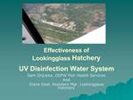 Effectiveness of Lookingglass Hatchery UV Disinfection Water System