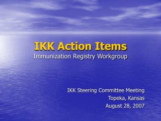 IKK Action Items Immunization Registry Workgroup