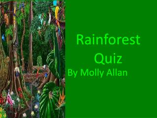 Rainforest Quiz