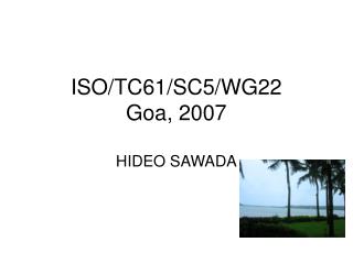 ISO/TC61/SC5/WG22 Goa, 2007