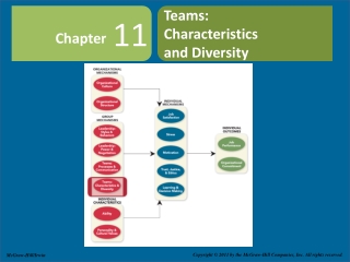 Teams: Characteristics and Diversity