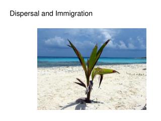 Dispersal and Immigration