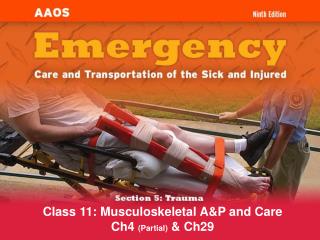 Class 11: Musculoskeletal A&amp;P and Care Ch4 (Partial) &amp; Ch29