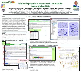 Gene Expression Resources Available from MaizeGDB