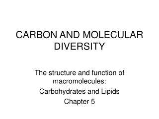 CARBON AND MOLECULAR DIVERSITY