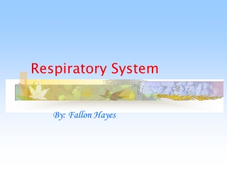 Respiratory System