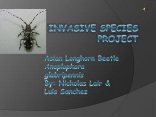Invasive Species Project
