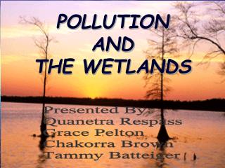 POLLUTION AND THE WETLANDS