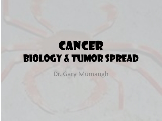Cancer Biology & Tumor Spread