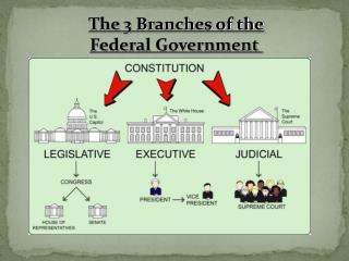 government branches federal powerpoint diagram divided branch science natural into ppt constitution main each articles presentation framework slideserve