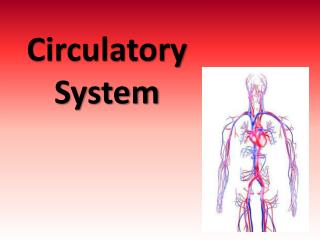 PPT - Circulatory System PowerPoint Presentation, free download - ID ...