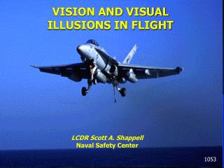VISION AND VISUAL ILLUSIONS IN FLIGHT