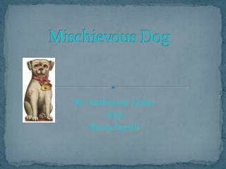 Mischievous Dog