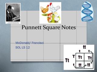 Punnett Square Notes