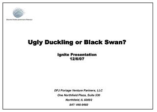 Ugly Duckling or Black Swan? Ignite Presentation 12/6/07