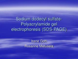 Sodium dodecyl sulfate-Polyacrylamide gel electrophoresis (SDS-PAGE)
