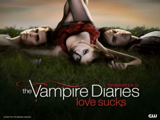About The Vampire Diaries
