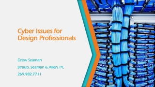 Cyber Issues for Design Professionals