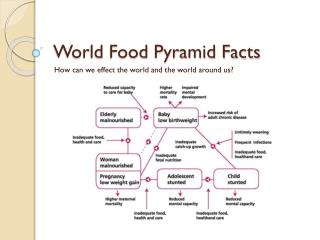 World Food Pyramid Facts