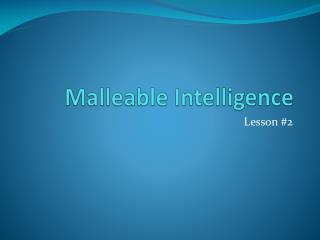 Malleable Intelligence