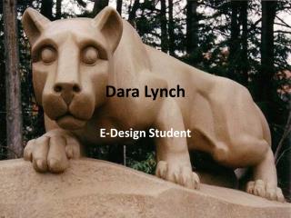 Dara Lynch