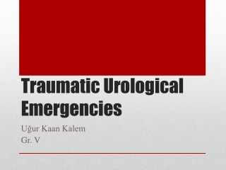Traumatic Urological Emergencies