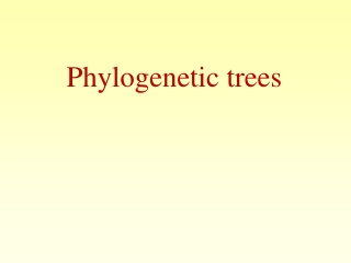 Phylogenetic trees