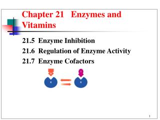 Chapter 21 Enzymes and Vitamins