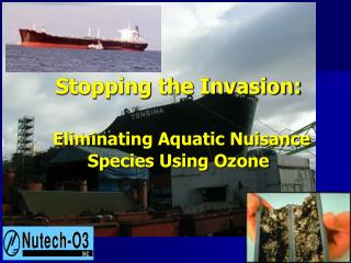 Stopping the Invasion: Eliminating Aquatic Nuisance Species Using Ozone