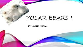Polar bears !