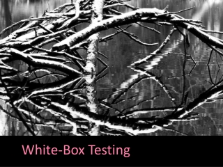 White-Box Testing