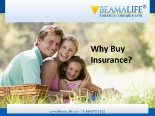 Why Buy Insurance
