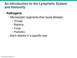 An Introduction to the Lymphatic System and Immunity
