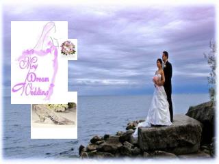 Dream Wedding Ltd