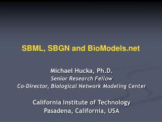 SBML, SBGN and BioModels
