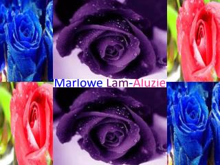 Marlowe Lam - Aluzie
