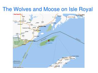 The Wolves and Moose on Isle Royal