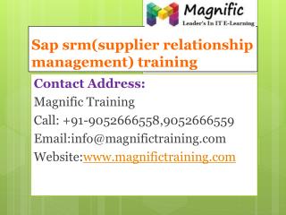 sap srm(supplier relationship management) training