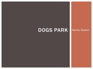 Dogs Park