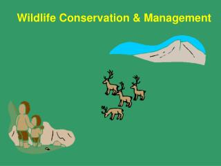 PPT - Wildlife Conservation & Management PowerPoint Presentation, Free ...