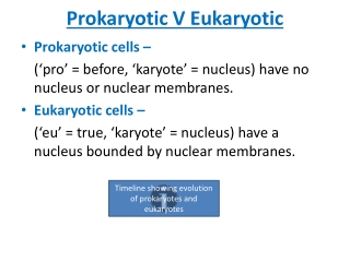 Prokaryotic V Eukaryotic