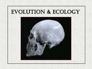 Evolution & Ecology